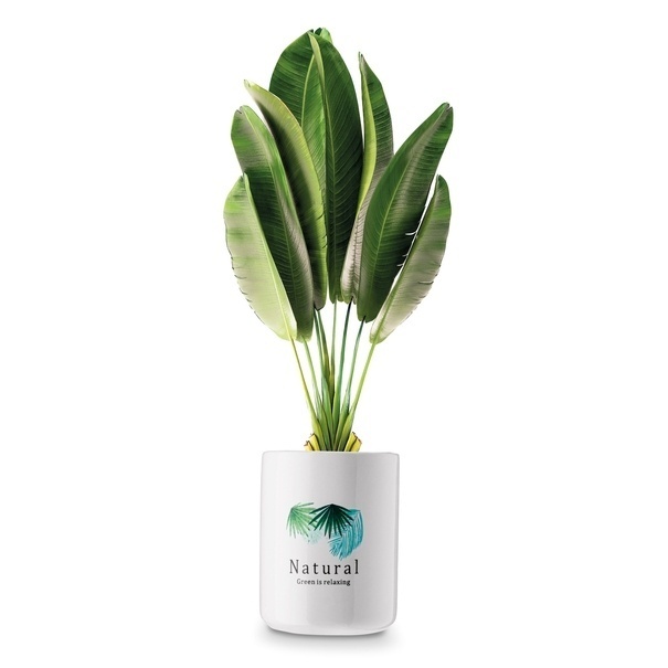 Pojemnik ceramiczny uniwersalny Tadar Natural 700 ml