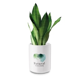 Pojemnik ceramiczny uniwersalny Tadar Natural 700 ml