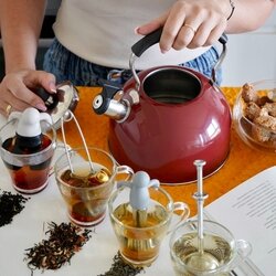Czajnik na indukcję Tadar Vincent 2,3 l czerwony