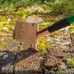 Szczotka do usuwania chwastów z kostki brukowej z kijem teleskopowym Tadar Weed