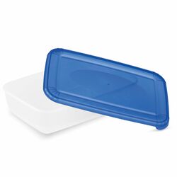 Komplet 4 pojemników na żywność Plast Team Polar 0,46 l 0,9 l 1,9 l 3 l prostokątne